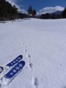 キツネの足跡は、４本の足で綱渡りをするかのように、まっすぐに伸びていく。歩くスキー「スノーランブラー」もまた、スノーシュー同様、人の道を踏みはずすための道具だ。 