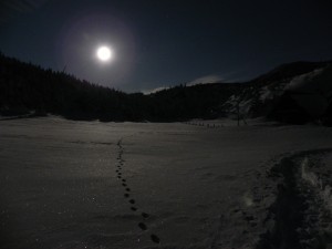 満月の夜の雪原をスノーシューを履いて探索。 月明かりに誘われるかのようにキツネの足跡が月に向かってつづいていた。 ぼくがいちばん好きな「冬の夜遊び」！ 