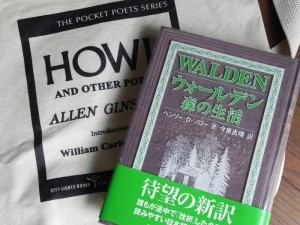 こちらは、『ウォールデン 森の生活』（ヘンリー・D. ソロー 著、今泉吉晴訳）。小学館が、2004年に新訳で発行した一冊。 19世紀末にヘンリー・デビッド・ソローが、ウォールデンの森で暮らし、その暮らしをつぶさにつづった本だ。「米文学史上に輝く名著」といわれているが、この本を途中で寝ずに最後まで一気に読んだ、という人にぼくはいまだ出会ったことがない。もちろんぼくも、何度も居眠りを繰りかえしながら、この長い本を読んだのだった。 